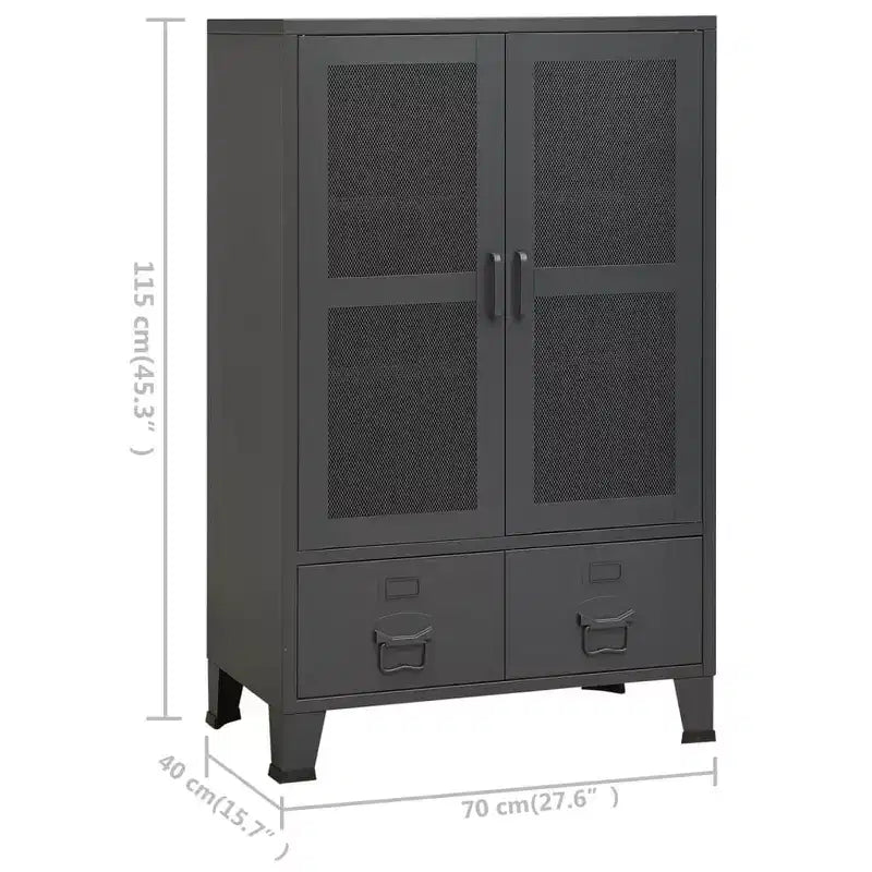 Armoire de rangement industrielle en métal avec portes grillagées et 2 tiroirs bas